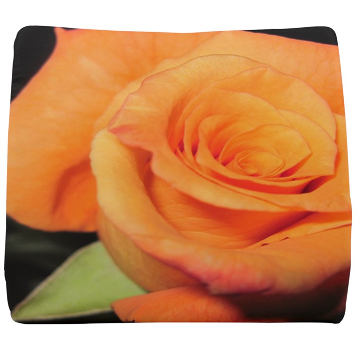 Color of Desire Seat Cushion