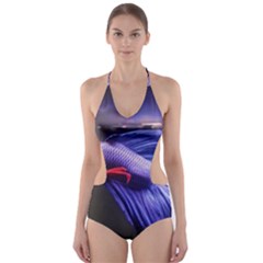 Betta Fish Photo And Wallpaper Cute Betta Fish Pictures Cut-out One Piece Swimsuit by StoreofSuccess