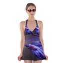 Betta Fish Photo And Wallpaper Cute Betta Fish Pictures Halter Dress Swimsuit  View1