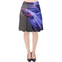 Betta Fish Photo And Wallpaper Cute Betta Fish Pictures Velvet High Waist Skirt View1