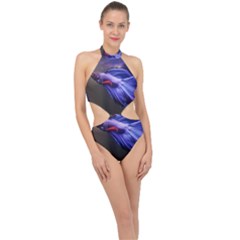 Betta Fish Photo And Wallpaper Cute Betta Fish Pictures Halter Side Cut Swimsuit by StoreofSuccess