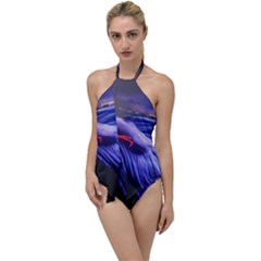 Betta Fish Photo And Wallpaper Cute Betta Fish Pictures Go With The Flow One Piece Swimsuit by StoreofSuccess