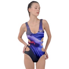 Betta Fish Photo And Wallpaper Cute Betta Fish Pictures Side Cut Out Swimsuit by StoreofSuccess