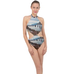 Ducks On Gardasee Halter Side Cut Swimsuit by ConteMonfrey