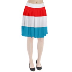 Luxembourg Pleated Skirt by tony4urban