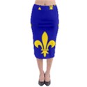 Ile De France Flag Midi Pencil Skirt View1