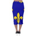 Ile De France Flag Midi Pencil Skirt View2