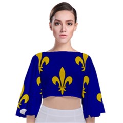 Ile De France Flag Tie Back Butterfly Sleeve Chiffon Top by tony4urban