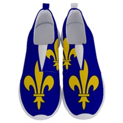 Ile De France Flag No Lace Lightweight Shoes by tony4urban