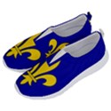 Ile De France Flag No Lace Lightweight Shoes View2