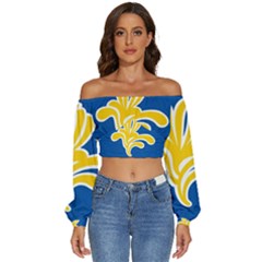 Brussels Long Sleeve Crinkled Weave Crop Top by tony4urban