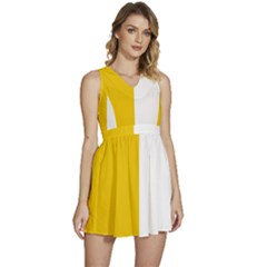 Antrim Flag Sleeveless High Waist Mini Dress by tony4urban