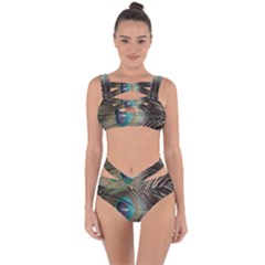 Peacock Bandaged Up Bikini Set  by StarvingArtisan