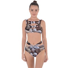 Beautiful Seashells  Bandaged Up Bikini Set  by StarvingArtisan