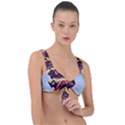 Berwyn Car Kebob Front Tie Bikini Top View1