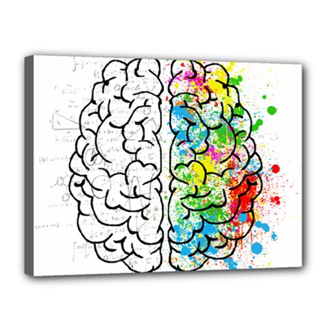 Brain-mind-psychology-idea-drawing Canvas 16  X 12  (stretched) by Jancukart