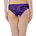 Purple Scales! Hipster Bikini Bottoms View2