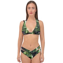 Ai Generated Drink Spinach Smooth Apple Ginger Double Strap Halter Bikini Set by danenraven