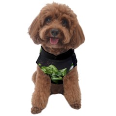 Ai Generated Drink Spinach Smooth Apple Ginger Dog Sweater by danenraven