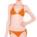 Carrot Orange	 - 	Bikini View1