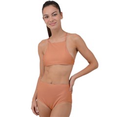 Musk Melon Orange	 - 	high Waist Tankini Set by ColorfulSwimWear