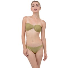 Greenish Hazelnut	 - 	classic Bandeau Bikini Set by ColorfulSwimWear