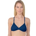 Aegean Blue	 - 	Reversible Tri Bikini Top View1