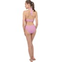 Nadeshilo Pink	 - 	Halter Side Cut Swimsuit View2