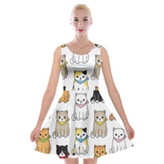 Cat Kitten Seamless Pattern Velvet Skater Dress by Salman4z