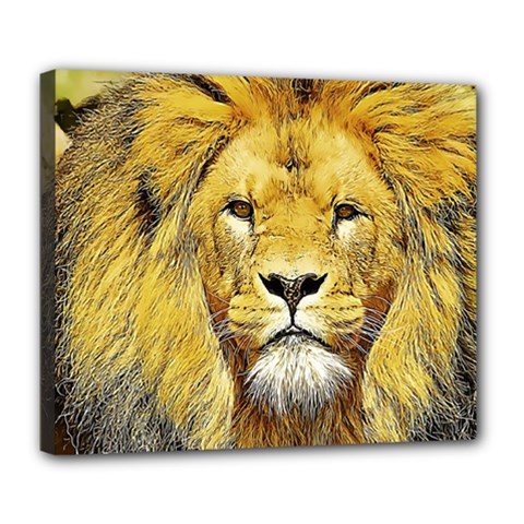 Lion Lioness Wildlife Hunter Deluxe Canvas 24  X 20  (stretched) by Mog4mog4