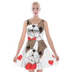 Animation-dog-cute-animate-comic Velvet Skater Dress by 99art