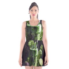 Drink Spinach Smooth Apple Ginger Scoop Neck Skater Dress by Ndabl3x