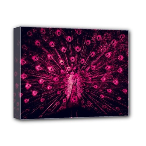 Peacock Pink Black Feather Abstract Deluxe Canvas 14  X 11  (stretched) by Wav3s