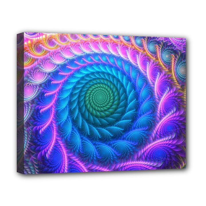 Peacock Feather Fractal Deluxe Canvas 20  x 16  (Stretched)