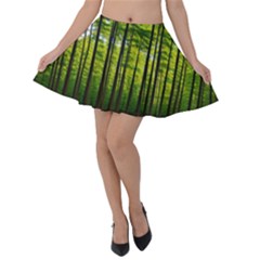 Green Forest Jungle Trees Nature Sunny Velvet Skater Skirt by Ravend