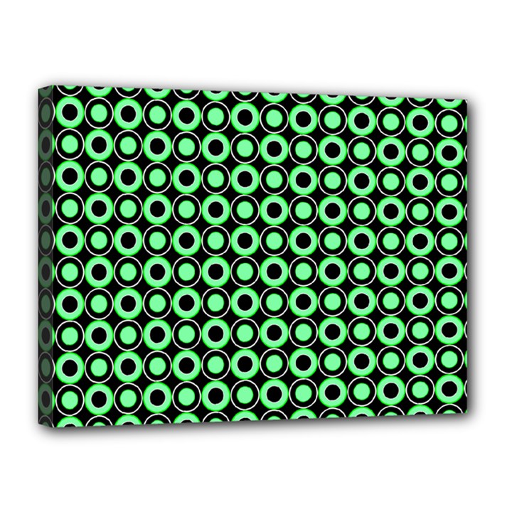 Mazipoodles Green Donuts Polka Dot Canvas 16  x 12  (Stretched)