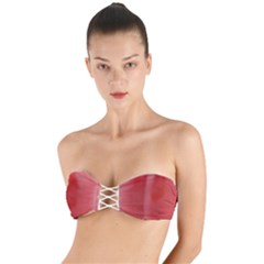 Adobe Express 20230807 1249100 1 Fb Img 1694012935321 Fb Img 1694012925239 Pngfind Com-league-of-legends-png-3243460 Twist Bandeau Bikini Top by 94gb