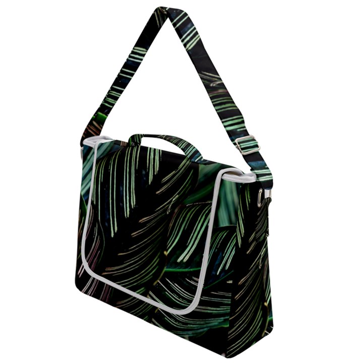 Calathea Leaves Strippe Line Box Up Messenger Bag