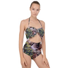 Japanese Painting Flower Peacock Scallop Top Cut Out Swimsuit by Bedest