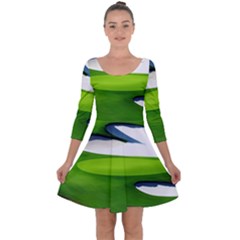 Golf Course Par Green Quarter Sleeve Skater Dress by Sarkoni