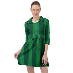 Green Seamless Watermelon Skin Pattern Mini Skater Shirt Dress by Grandong