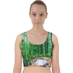 Bamboo Forest Squid Family Velvet Racer Back Crop Top by Grandong