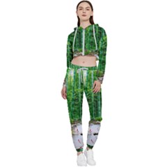 Bamboo Forest Squid Family Cropped Zip Up Lounge Set by Grandong