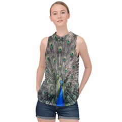 Peacock-feathers1 High Neck Satin Top by nateshop