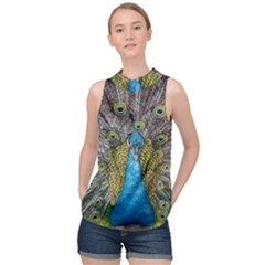 Peacock-feathers2 High Neck Satin Top by nateshop