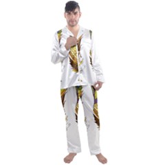 Feathers Design T- Shirtfeathers T- Shirt Men s Long Sleeve Satin Pajamas Set by ZUXUMI