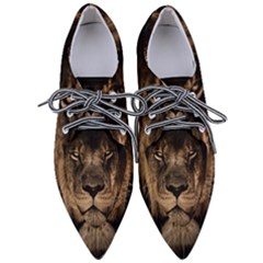 African-lion-mane-close-eyes Pointed Oxford Shoes by Ket1n9