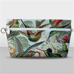 Humming Birds Trochilidae Handbag Organizer by Pakjumat