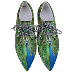 Peafowl Peacock Pointed Oxford Shoes by Sarkoni