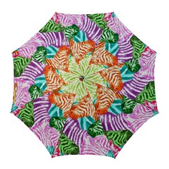 Zebra Colorful Abstract Collage Golf Umbrellas by Amaryn4rt